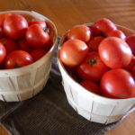 Baskets of fresh grown tomatoes