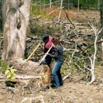 bren and chuck logging