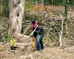 Bren and Chuck using cant hooks to move a log