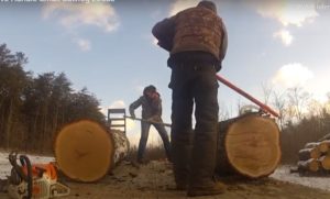 Bren and Chuck handling a small log load.