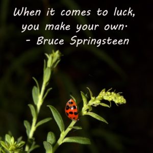 Picture of lady bug with a quote from Bruce Springsteen