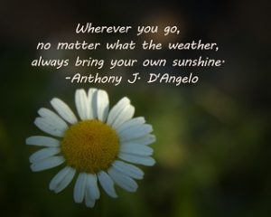 Picture of a daisy with the quote of the day