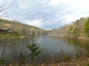 Pond side at Pioneer Mountain Homestead