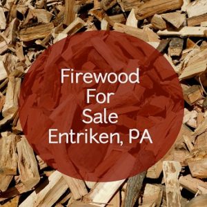 We sell firewood in the Entriken area. Sorry, but the Raystown Resort does not allow deliveries of firewood.