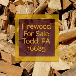 Pioneer Mountain Homestead has firewood for sale and delivers to Todd PA 16685