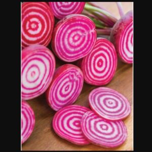 Chioggia Beet