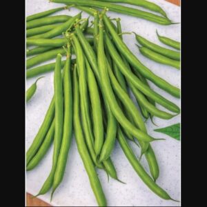 Desperado Bush Beans