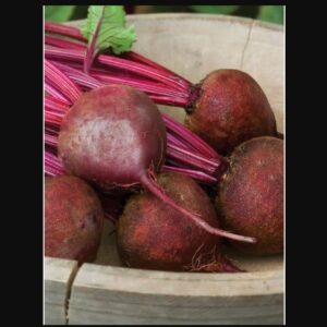 Detroit Dark Red Beet