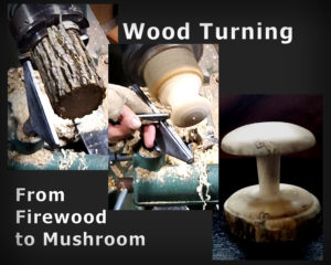 Wood turning a mushroom
