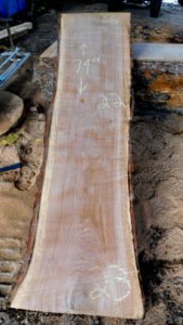 White Oak Rough Cut Lumber