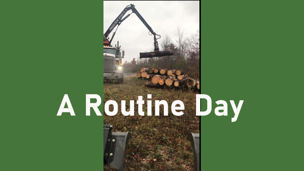 Log Pickup and Unloading: A Routine Day at the Sawmill.