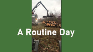 Thumbnail for A Routine Day video
