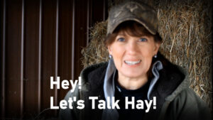 Hay at the Homestead – An overview of Hay for the New Homesteader or Want-to-be Homesteader.