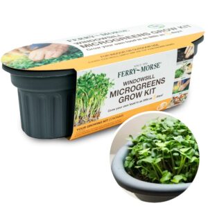 Microgreens grow kit