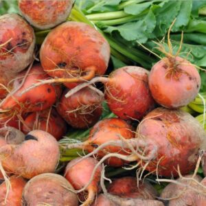 Organic beets (mangels)