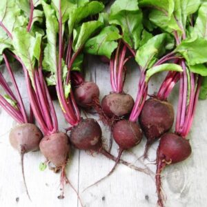 Beets - Crosby Egyptian