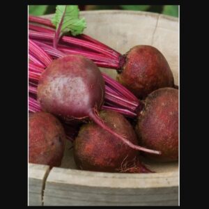 Detroit Dark Red Beets - Image from Burpee