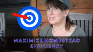 Maximize Homestead Efficiency Zones