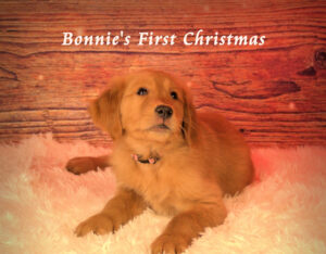 Bonnie's First Christmas
