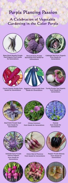 Purple Planting Passion Vegetable Gardening Campaign