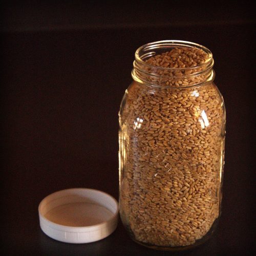 A jar of wheat berries